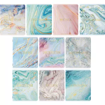 BRAUBERG Тетради предметные PASTEL