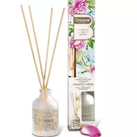 BREESAL Ароматический диффузор Aromа Sphere Свежесть чувств