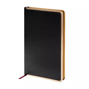 BRUNO VISCONTI Ежедневник недатированный А5 "CHELSEA"