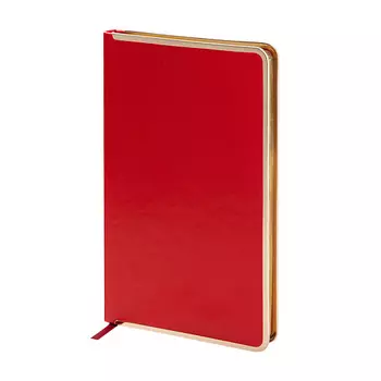 BRUNO VISCONTI Ежедневник недатированный А5 "CHELSEA"