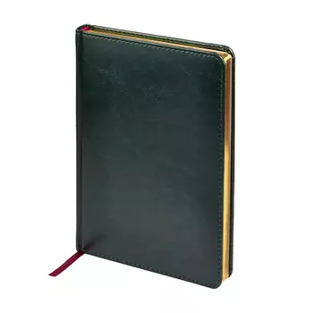 BRUNO VISCONTI Ежедневник недатированный "SIDNEY NEBRASKA"