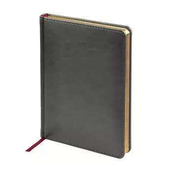 BRUNO VISCONTI Ежедневник недатированный "SIDNEY NEBRASKA"