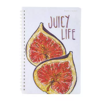 BRUNO VISCONTI Тетрадь А5 на силиконовом гребне"JUICY LIFE. Инжир"
