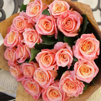 Букет "25" (19 роз - 50 см)