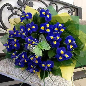 Букет "Ирисы" (19 ирисов)