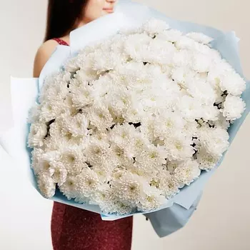 БУКЕТНАЯ ЛАВКА 25 Хризантем кустовых