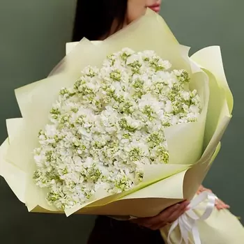 БУКЕТНАЯ ЛАВКА 51 белая маттиола