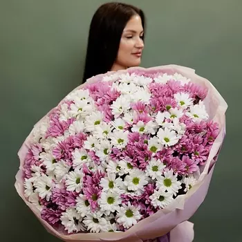 БУКЕТНАЯ ЛАВКА 51 бело-розовых хризантем