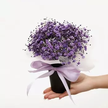 БУКЕТНАЯ ЛАВКА Космическая гипсофила