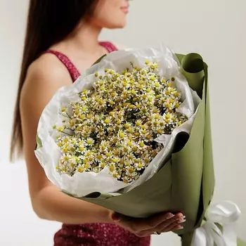 БУКЕТНАЯ ЛАВКА Монобукет милых ромашек