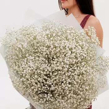 БУКЕТНАЯ ЛАВКА Воздушные гипсофилы