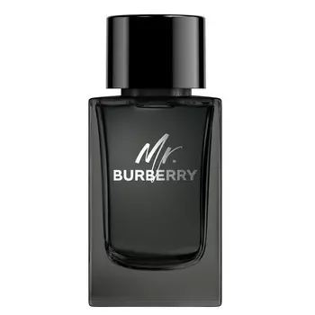 BURBERRY Mr. Burberry Eau de Parfum 50