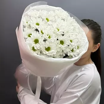 BUTON Хризантемы