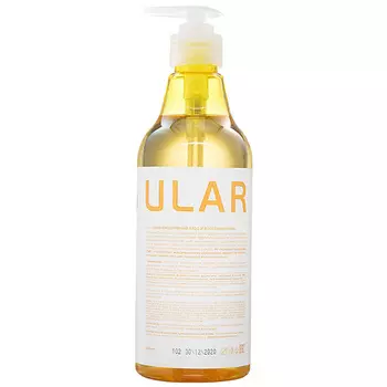 COCOCHOCO Шампунь для окрашенных волос Regular