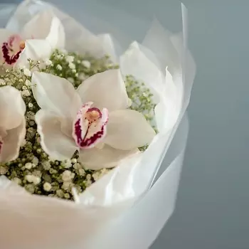 ЦВЕТНИК ЦВЕТЫ И ПОДАРКИ Букет с орхидеей и гипсофилой в формлении