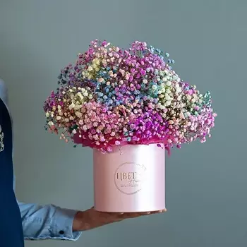 ЦВЕТНИК ЦВЕТЫ И ПОДАРКИ Цветная гипсофила в шляпной коробке размер М