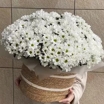 ЦВЕТОЧНЫЙ БАР LOFТ Корзина ромашковой хризантемы 101 шт