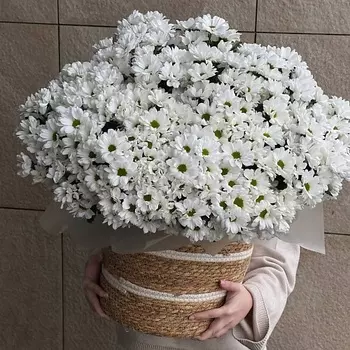 ЦВЕТОЧНЫЙ БАР LOFТ Корзина ромашковой хризантемы 51 шт