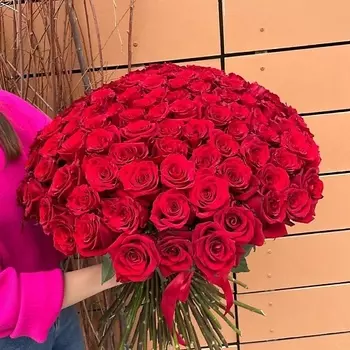 CVETOV. RU Букет 101 роза Эквадор