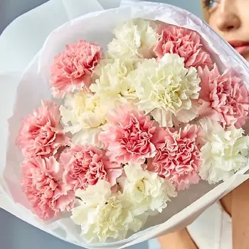 CVETOV. RU "Нежность" монобукет из розовых и белых диантусов