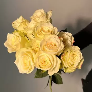 ЦВЕТЫ ДЛЯ ВАС Букет из 11 белых роз (Кения)