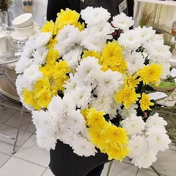 ЦВЕТЫ ДЛЯ ВАС Букет из 11 кустовых хризантем белых и желтых