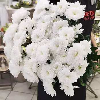 ЦВЕТЫ ДЛЯ ВАС Букет из 11 кустовых хризантем белых