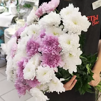 ЦВЕТЫ ДЛЯ ВАС Букет из 11 кустовых хризантем белых и розовых