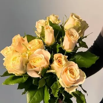 ЦВЕТЫ ДЛЯ ВАС Букет из 13 кремовых роз (Кения)