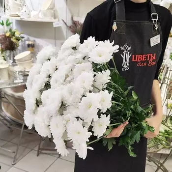 ЦВЕТЫ ДЛЯ ВАС Букет из 13 кустовых хризантем белых