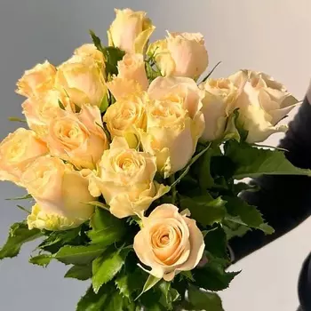 ЦВЕТЫ ДЛЯ ВАС Букет из 15 кремовых роз (Кения)