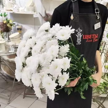 ЦВЕТЫ ДЛЯ ВАС Букет из 15 кустовых хризантем белых