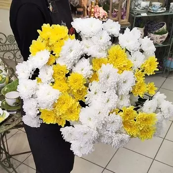 ЦВЕТЫ ДЛЯ ВАС Букет из 15 кустовых хризантем белых и желтых