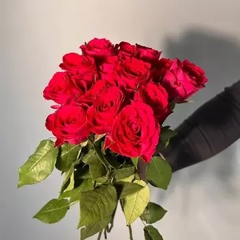 ЦВЕТЫ ДЛЯ ВАС Букет из 19 красных роз (Кения)