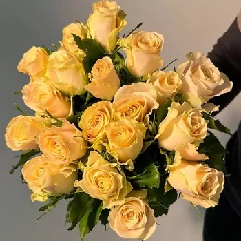 ЦВЕТЫ ДЛЯ ВАС Букет из 19 кремовых роз (Кения)