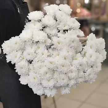 ЦВЕТЫ ДЛЯ ВАС Букет из 19 кустовых хризантем белых