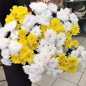 ЦВЕТЫ ДЛЯ ВАС Букет из 19 кустовых хризантем белых и желтых