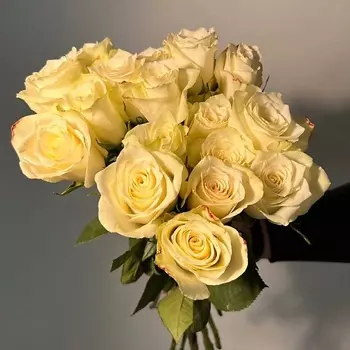 ЦВЕТЫ ДЛЯ ВАС Букет из 21 белых роз (Кения)