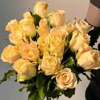ЦВЕТЫ ДЛЯ ВАС Букет из 25 кремовых роз (Кения)