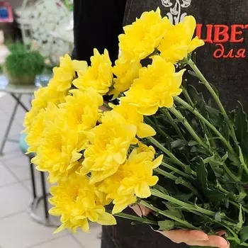 ЦВЕТЫ ДЛЯ ВАС Букет из 3 кустовых хризантем желтых