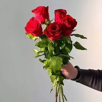 ЦВЕТЫ ДЛЯ ВАС Букет из 5 красных роз (Кения) 20 см 50 см