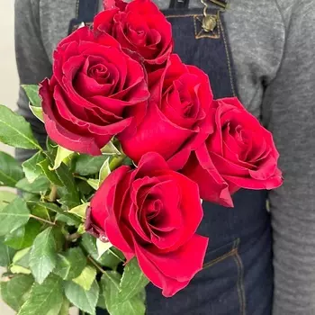 ЦВЕТЫ ДЛЯ ВАС Букет из 5 красных роз (Эквадор) 20 см 50 см
