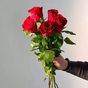 ЦВЕТЫ ДЛЯ ВАС Букет из 5 красных роз (Кения) 15 см 50 см