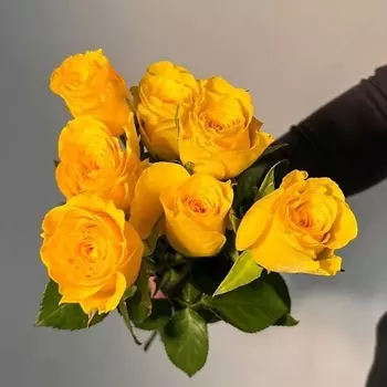 ЦВЕТЫ ДЛЯ ВАС Букет из 5 кремовых роз (Кения)