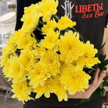 ЦВЕТЫ ДЛЯ ВАС Букет из 5 кустовых хризантем желтых