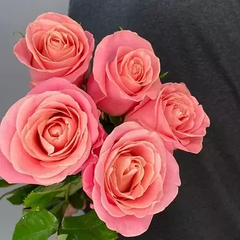 ЦВЕТЫ ДЛЯ ВАС Букет из 5 персиковых роз (Эквадор) 60 см