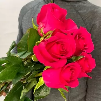 ЦВЕТЫ ДЛЯ ВАС Букет из 5 розовых роз (Эквадор) 60 см