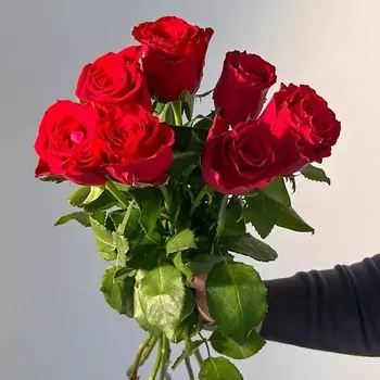 ЦВЕТЫ ДЛЯ ВАС Букет из 7 красных роз (Кения)