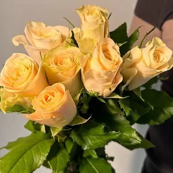 ЦВЕТЫ ДЛЯ ВАС Букет из 7 кремовых роз (Кения)