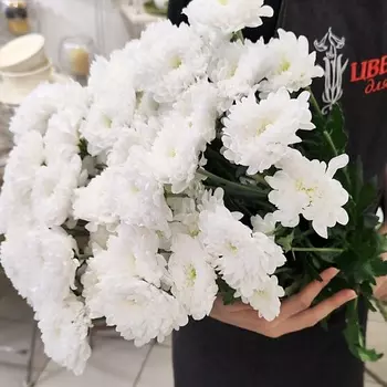 ЦВЕТЫ ДЛЯ ВАС Букет из 7 кустовых хризантем белых